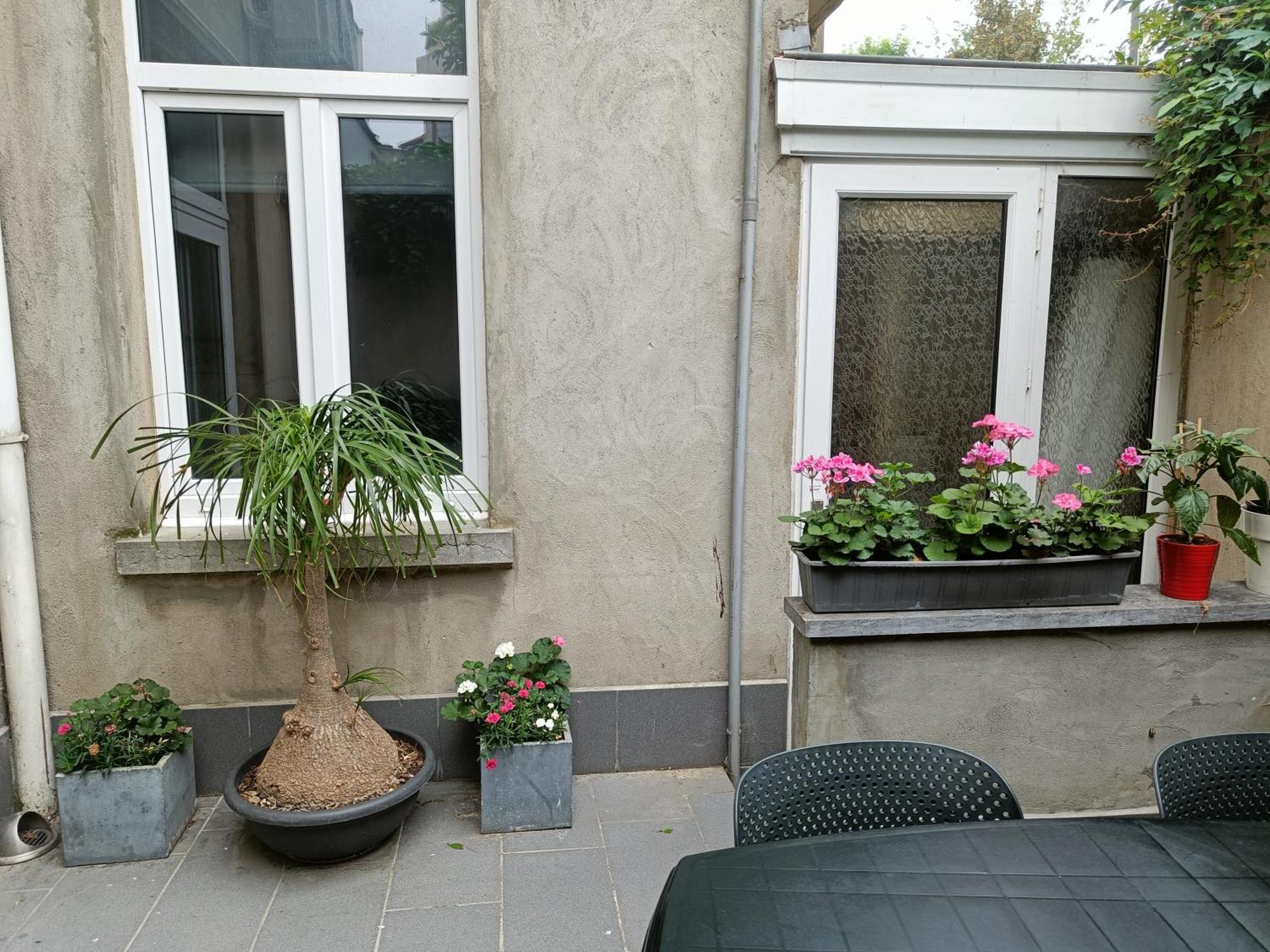 The Brussels-Laken Appartement Luaran gambar